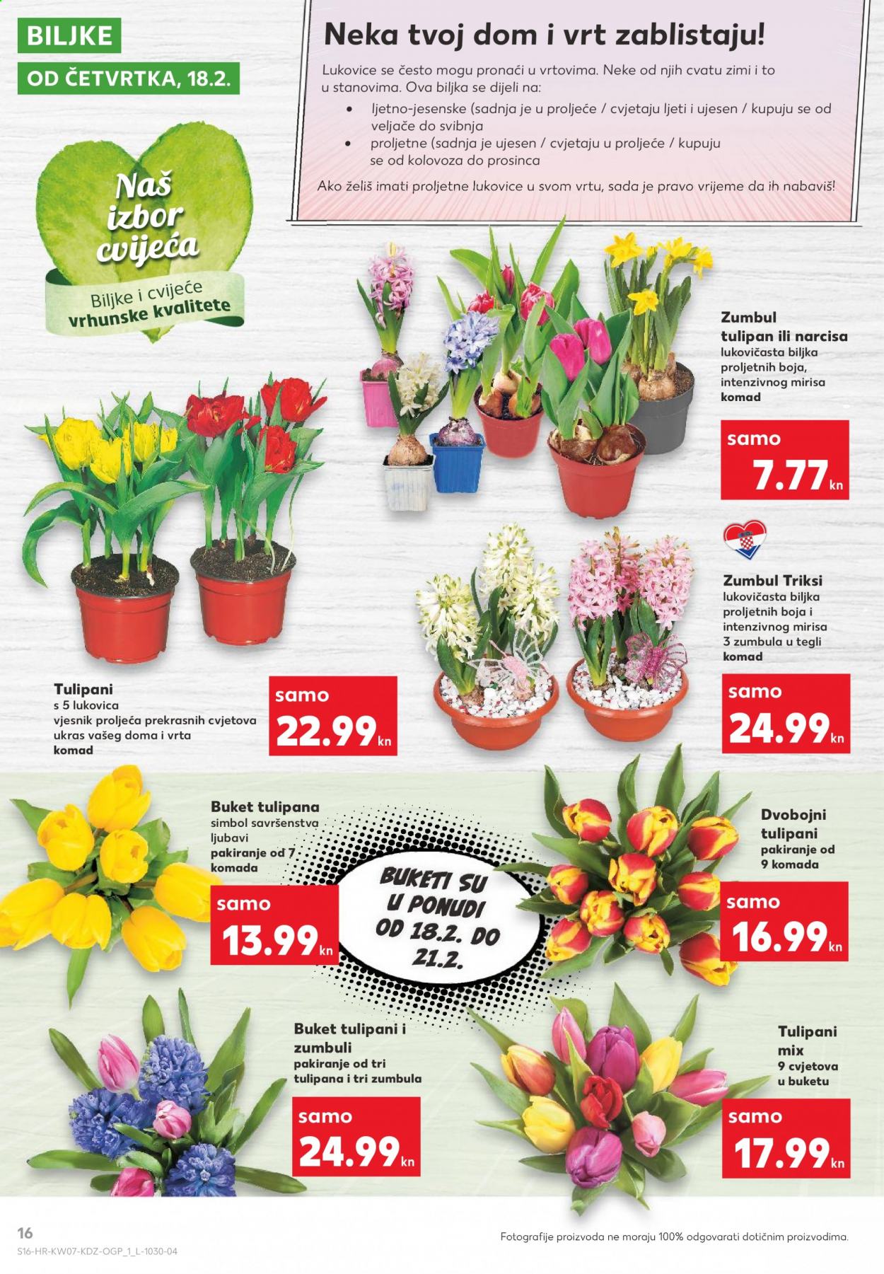 Kaufland katalog - 18.02.2021. - 24.02.2021. Stranica 16
