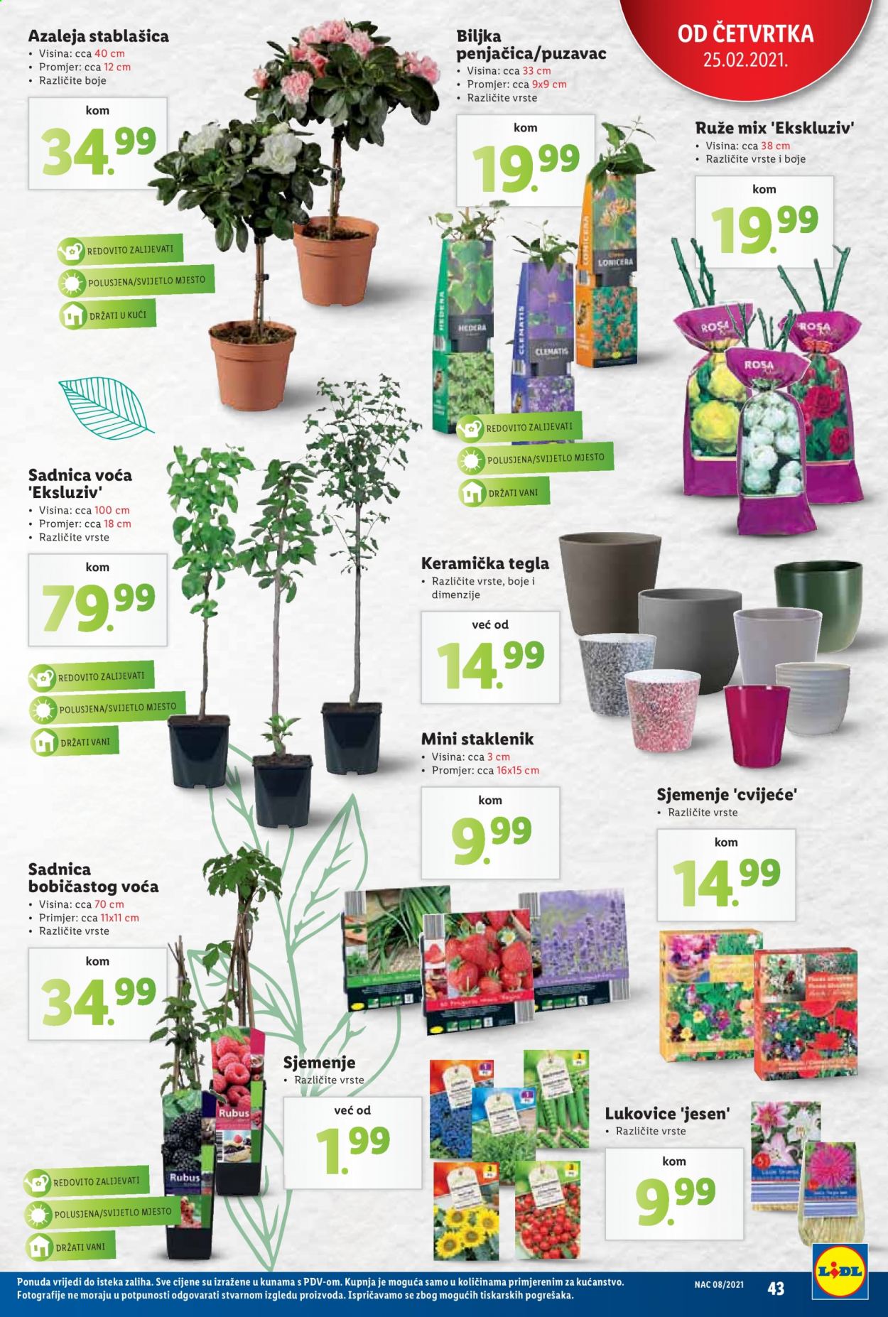 Lidl katalog - 22.02.2021. - 28.02.2021. Stranica 43