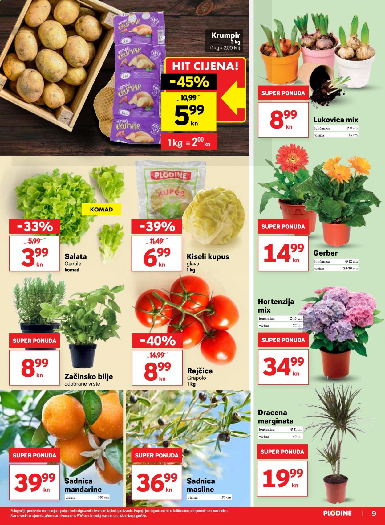 Plodine katalog - 25.02.2021. - 03.03.2021. Stranica 9