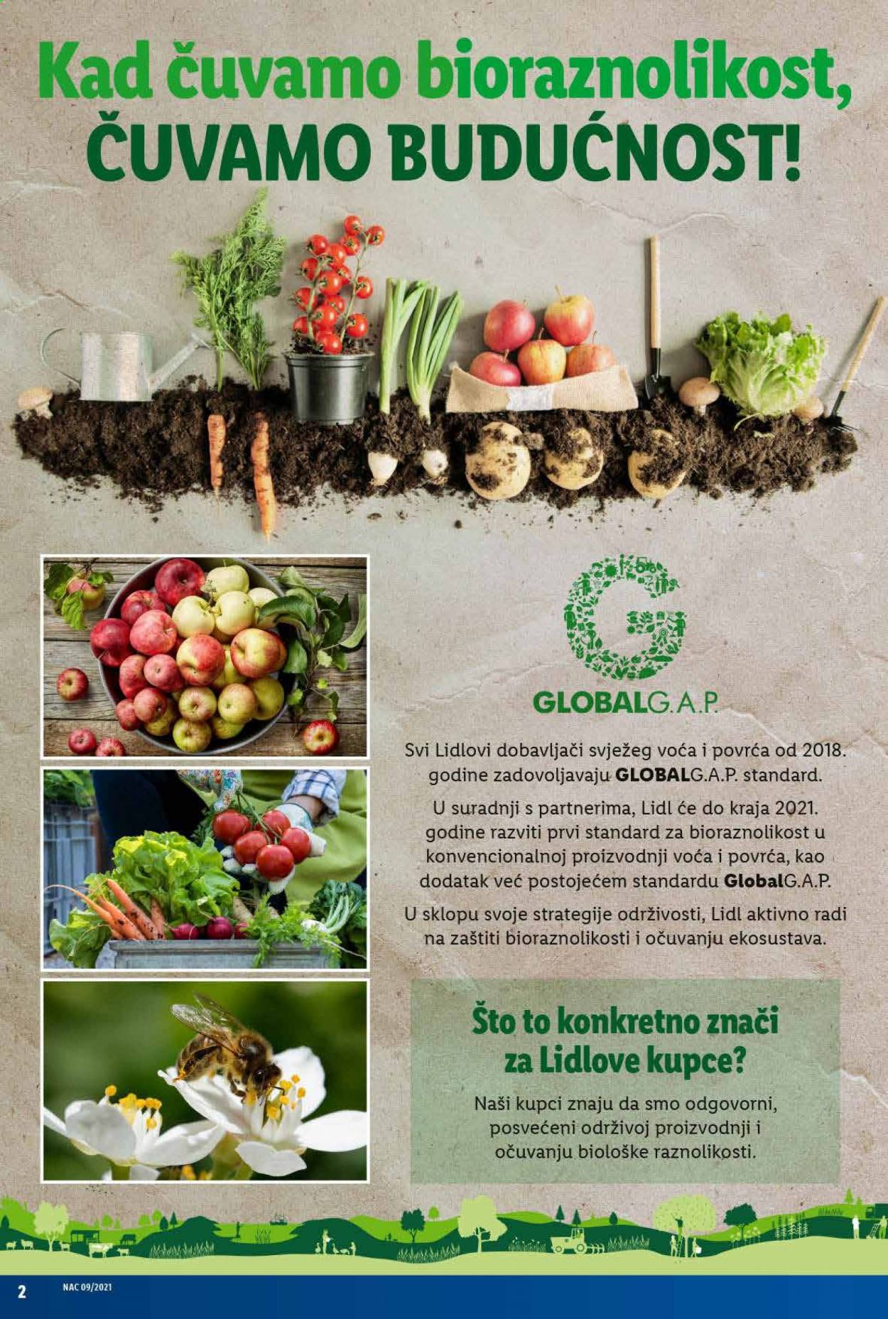 Lidl katalog - 01.03.2021. - 07.03.2021. Stranica 2