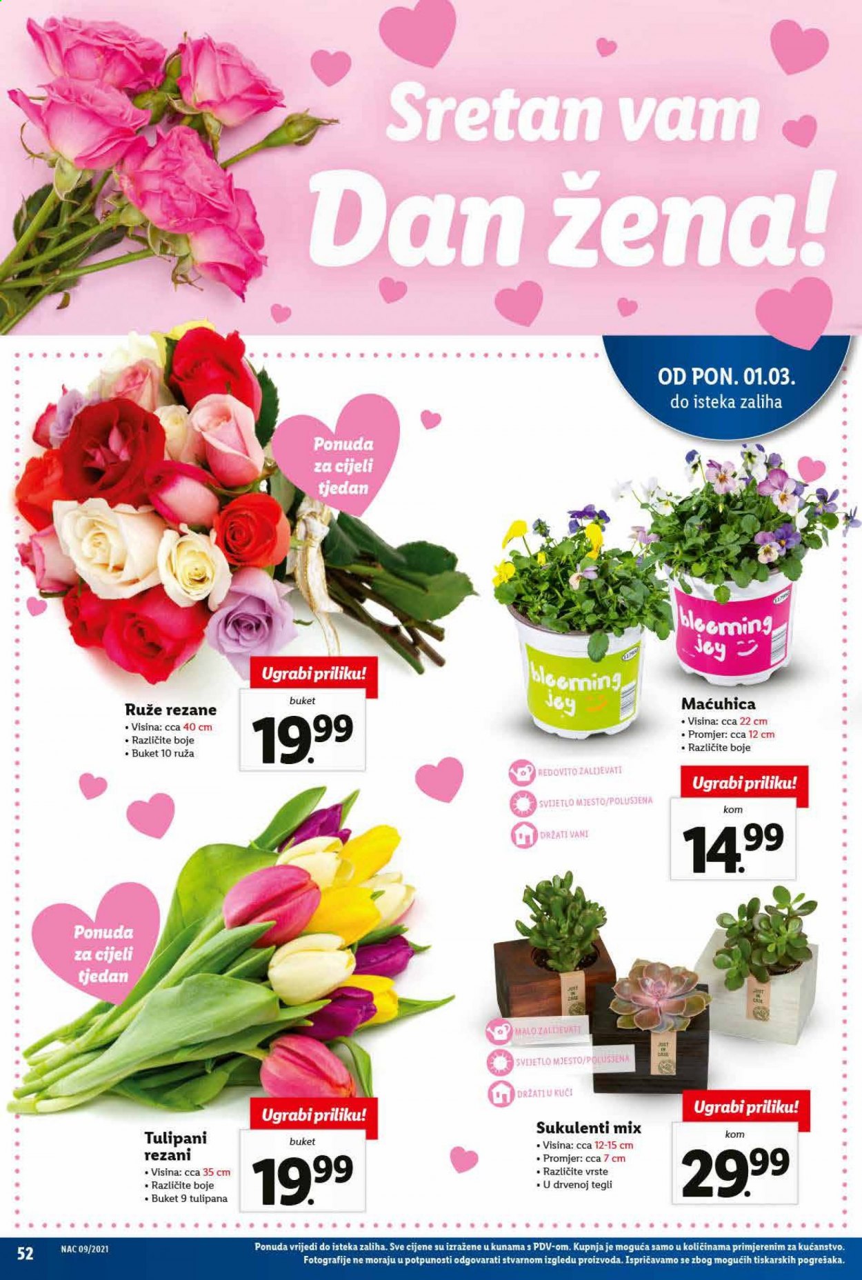 Lidl katalog - 01.03.2021. - 07.03.2021. Stranica 52