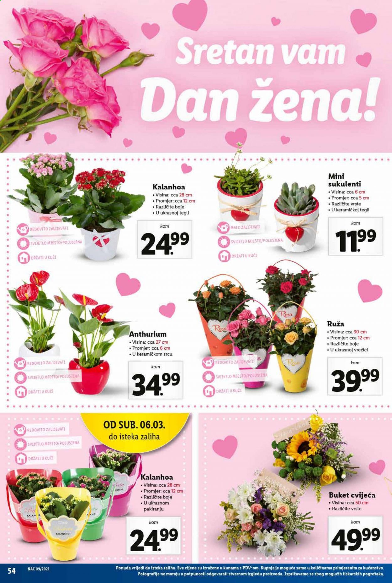 Lidl katalog - 01.03.2021. - 07.03.2021. Stranica 54
