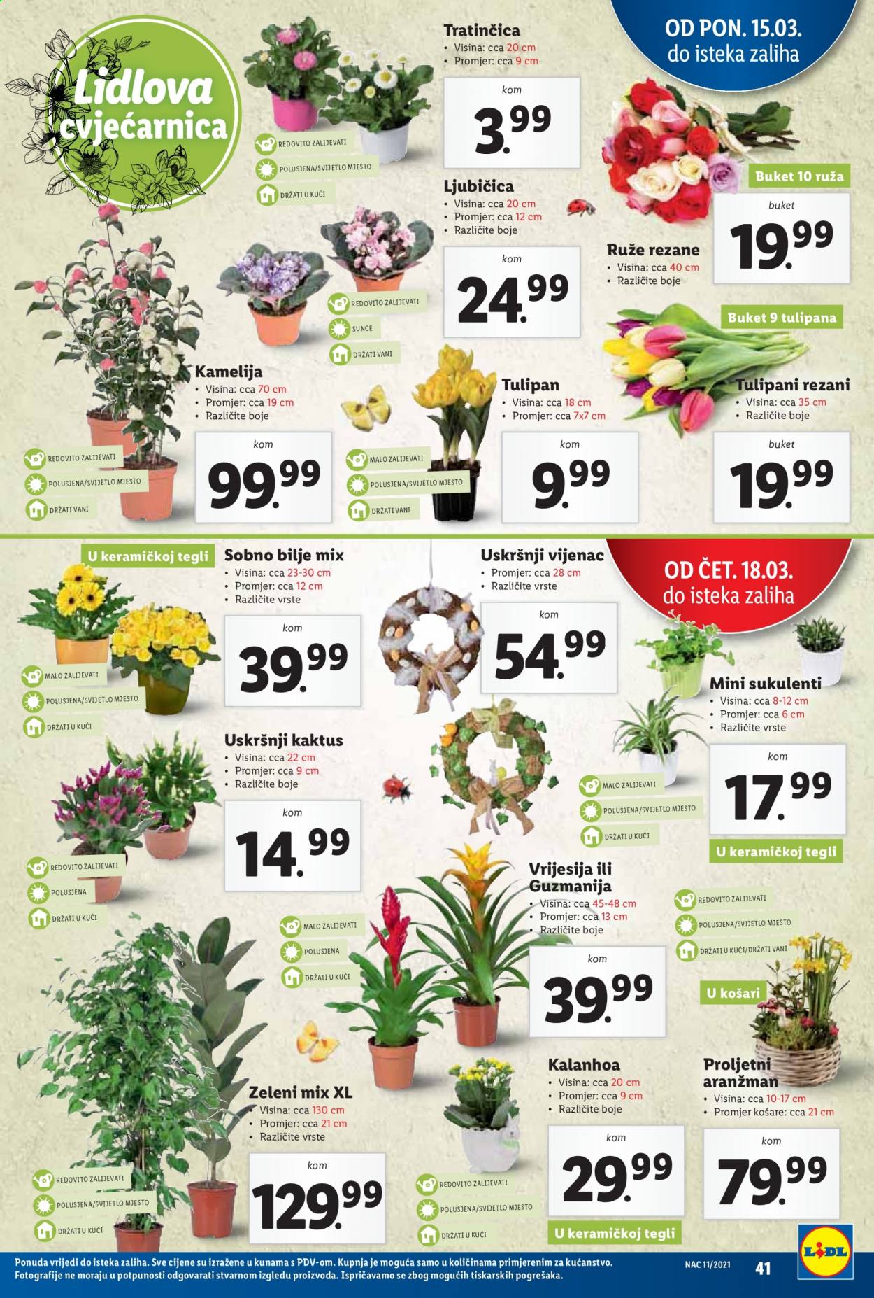 Lidl katalog - 15.03.2021. - 21.03.2021. Stranica 41