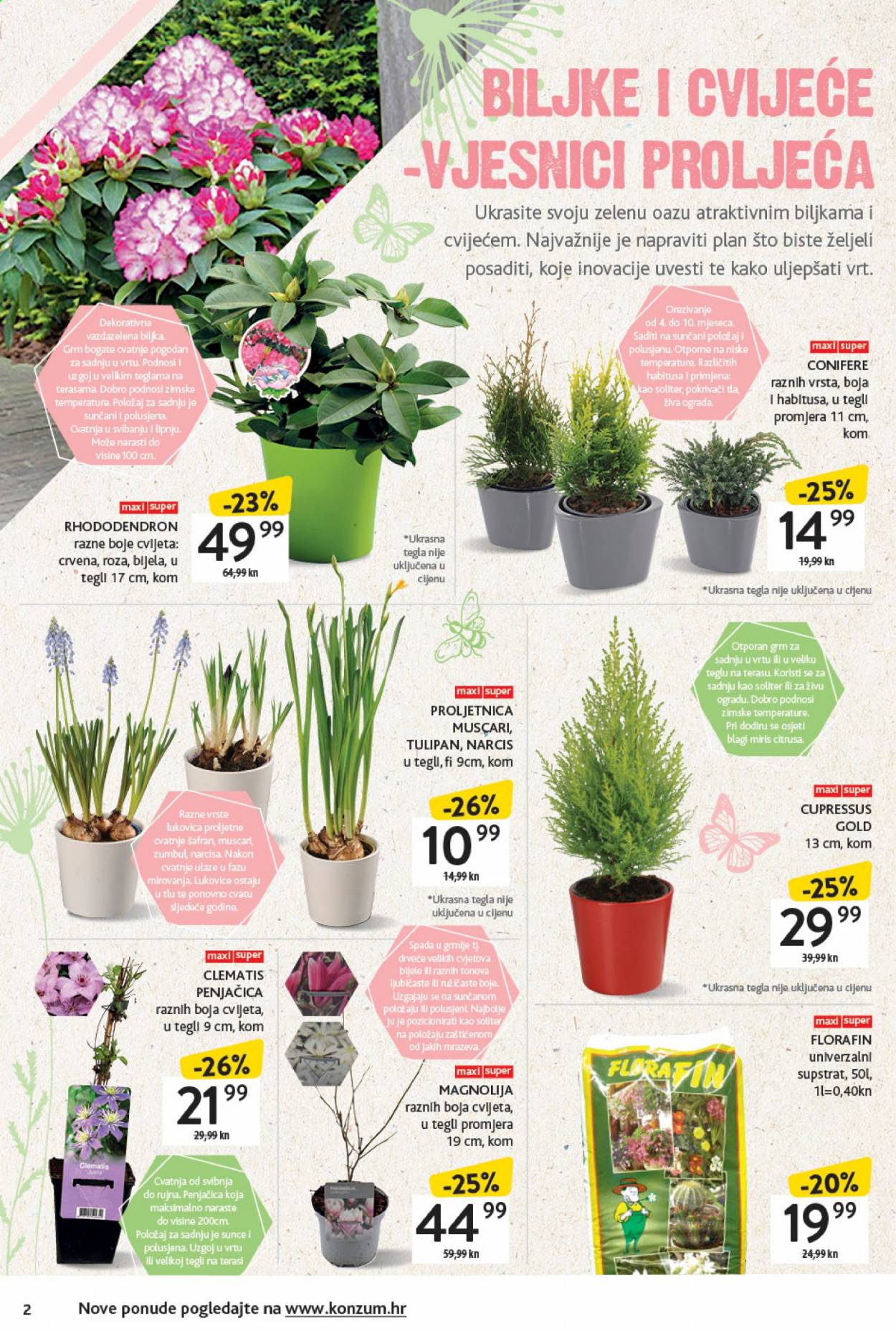 Konzum katalog - 15.03.2021. - 11.04.2021. Stranica 2