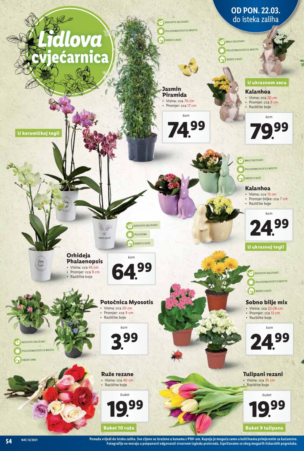 Lidl katalog - 22.03.2021. - 28.03.2021. Stranica 54