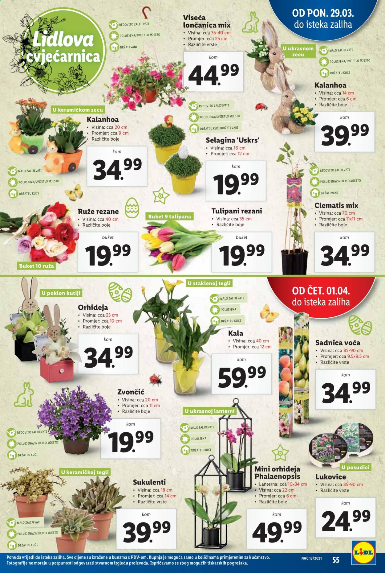 Lidl katalog - 29.03.2021. - 03.04.2021. Stranica 55