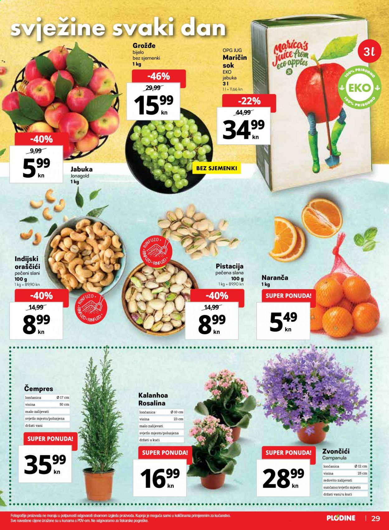 Plodine katalog - 01.04.2021. - 07.04.2021. Stranica 29