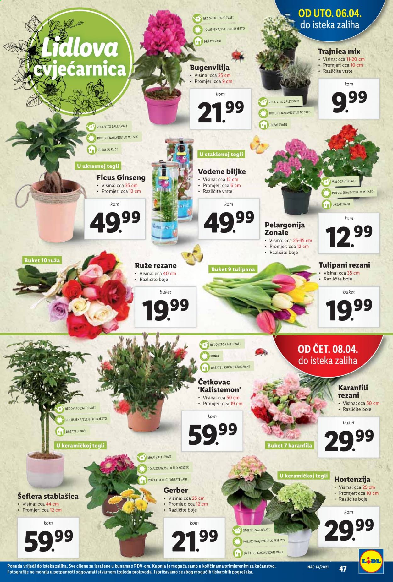 Lidl katalog - 06.04.2021. - 11.04.2021. Stranica 47