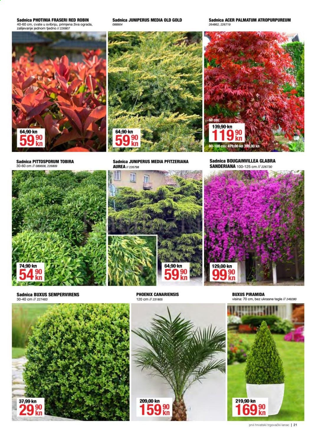 Pevex katalog - 08.04.2021. - 04.05.2021. Stranica 21