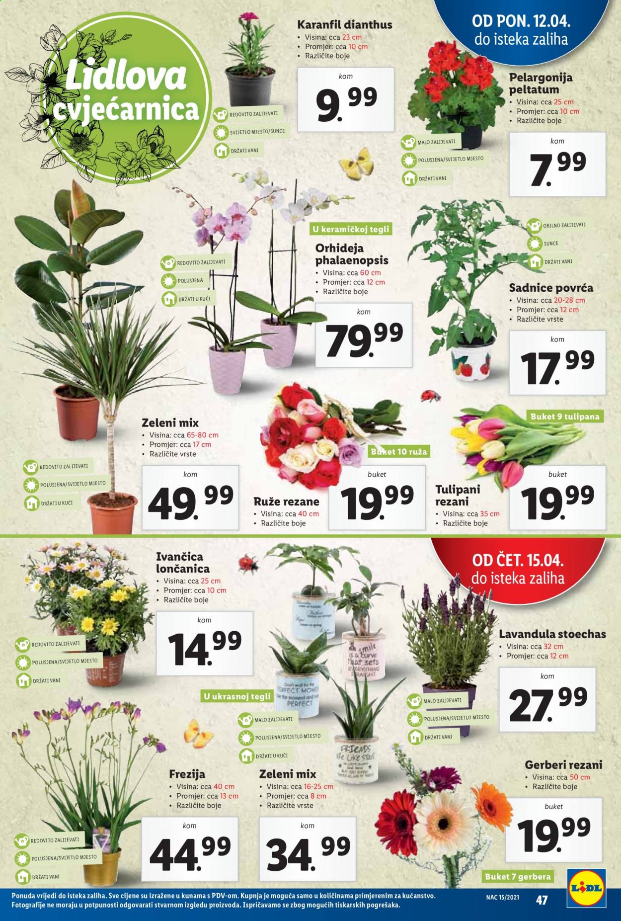 Lidl katalog - 12.04.2021. - 18.04.2021. Stranica 47