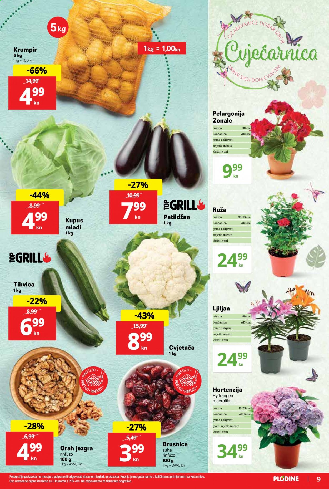 Plodine katalog - 15.04.2021. - 21.04.2021. Stranica 9