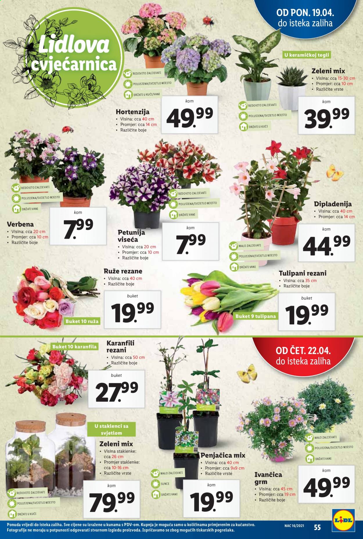 Lidl katalog - 19.04.2021. - 25.04.2021. Stranica 55