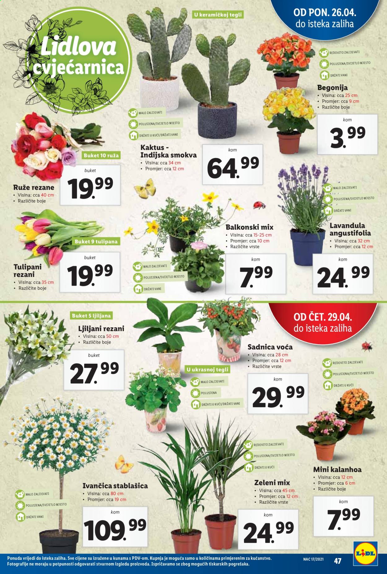 Lidl katalog - 26.04.2021. - 02.05.2021. Stranica 47