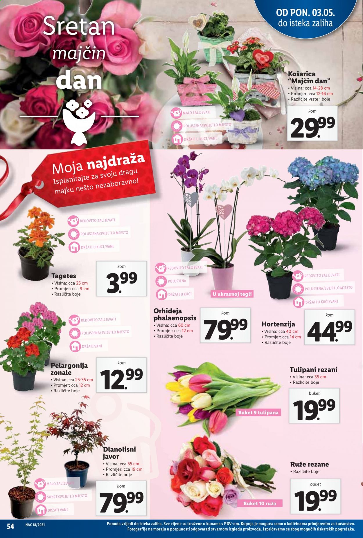 Lidl katalog - 03.05.2021. - 09.05.2021. Stranica 54