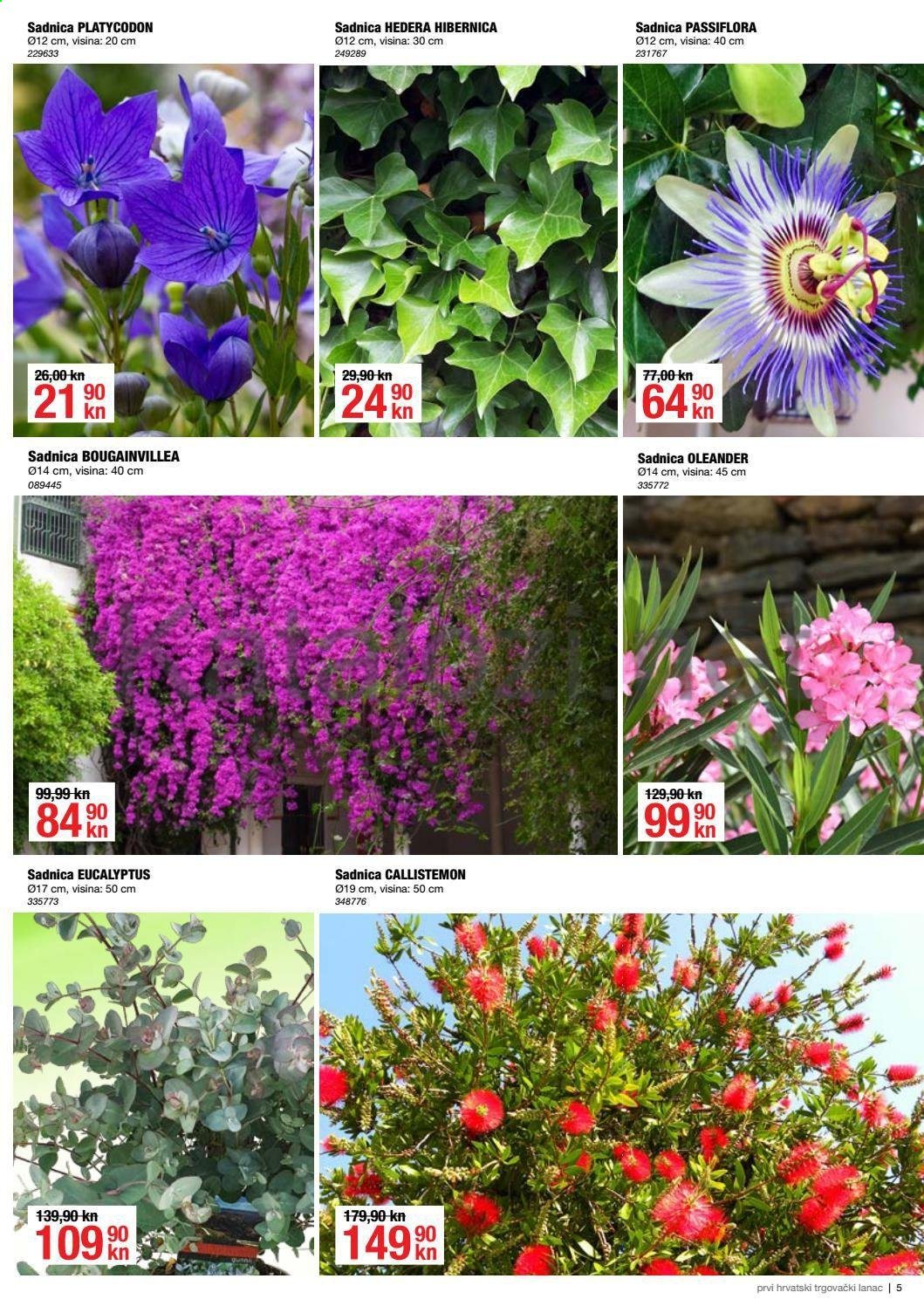 Pevex katalog - 06.05.2021. - 01.06.2021. Stranica 5