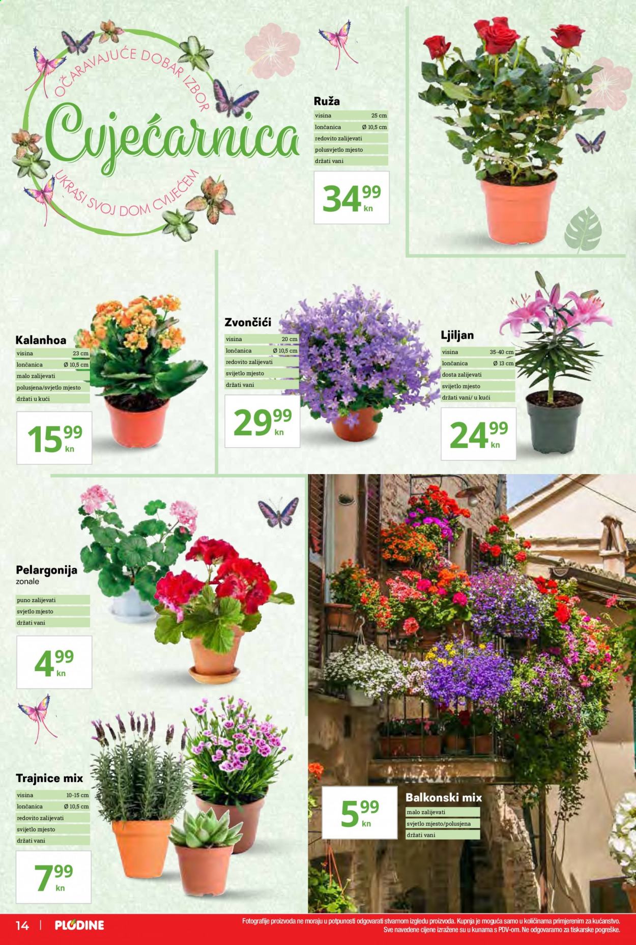Plodine katalog - 13.05.2021. - 19.05.2021. Stranica 14