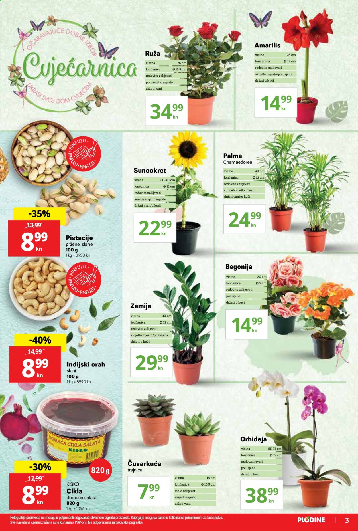 Plodine katalog - 27.05.2021. - 01.06.2021. Stranica 3
