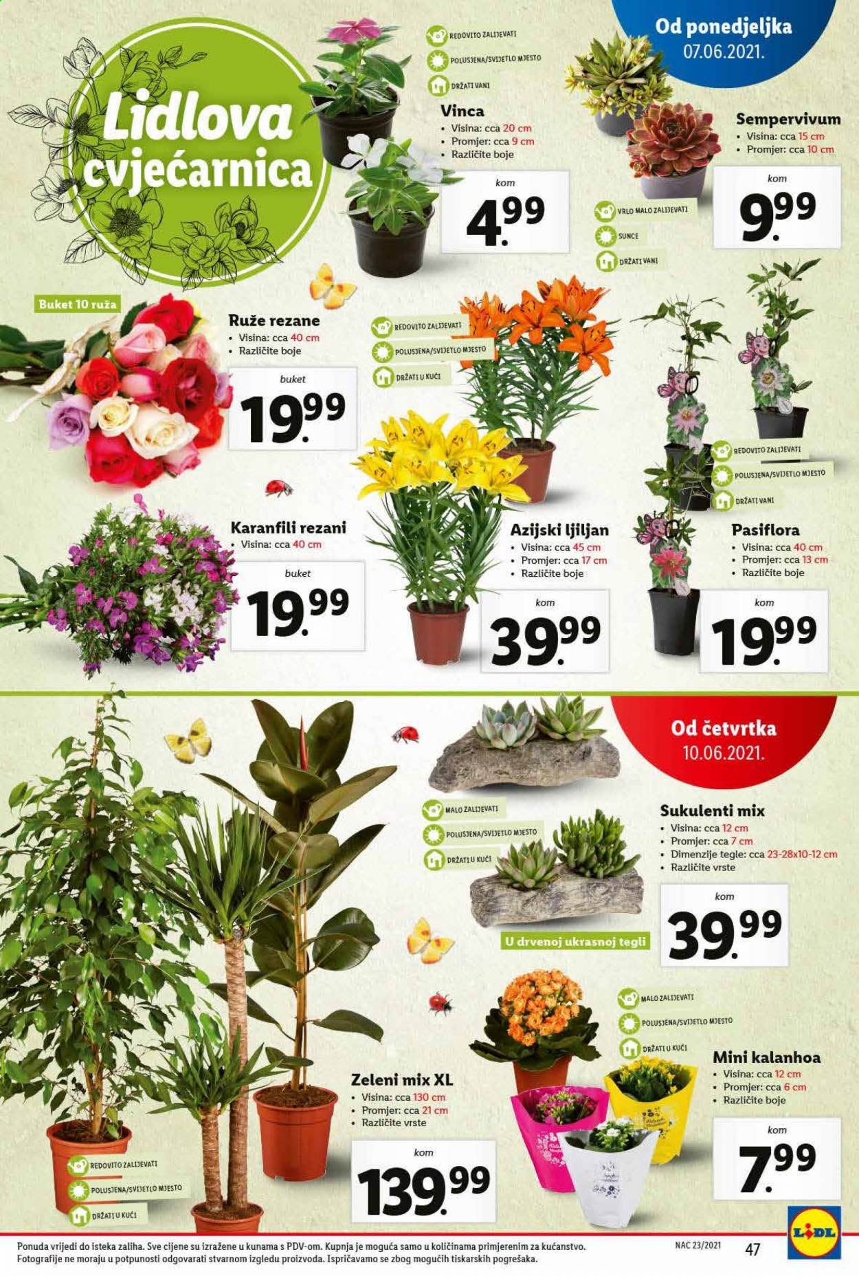 Lidl katalog - 07.06.2021. - 13.06.2021. Stranica 47