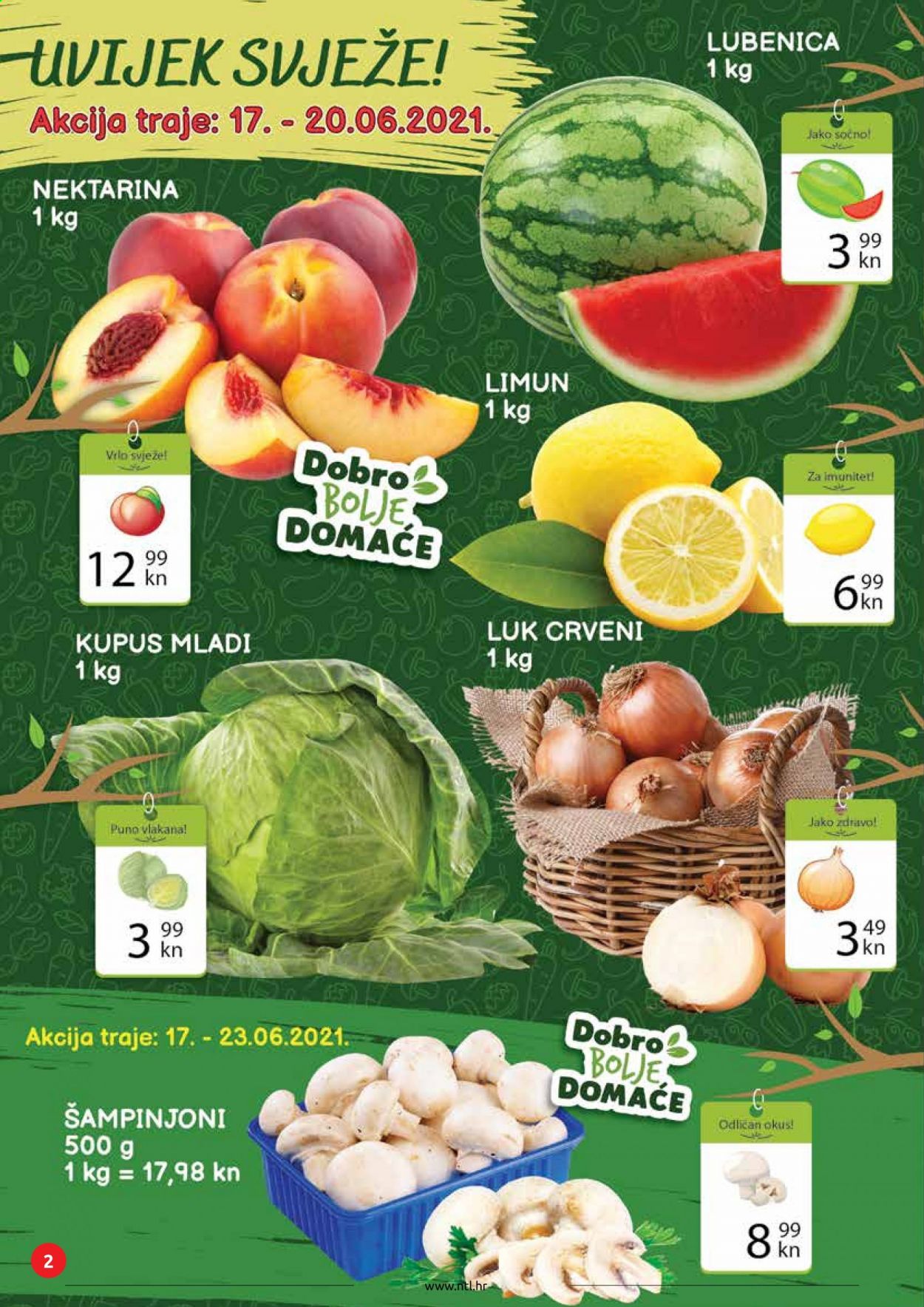 NTL katalog - 17.06.2021. - 23.06.2021. Stranica 2