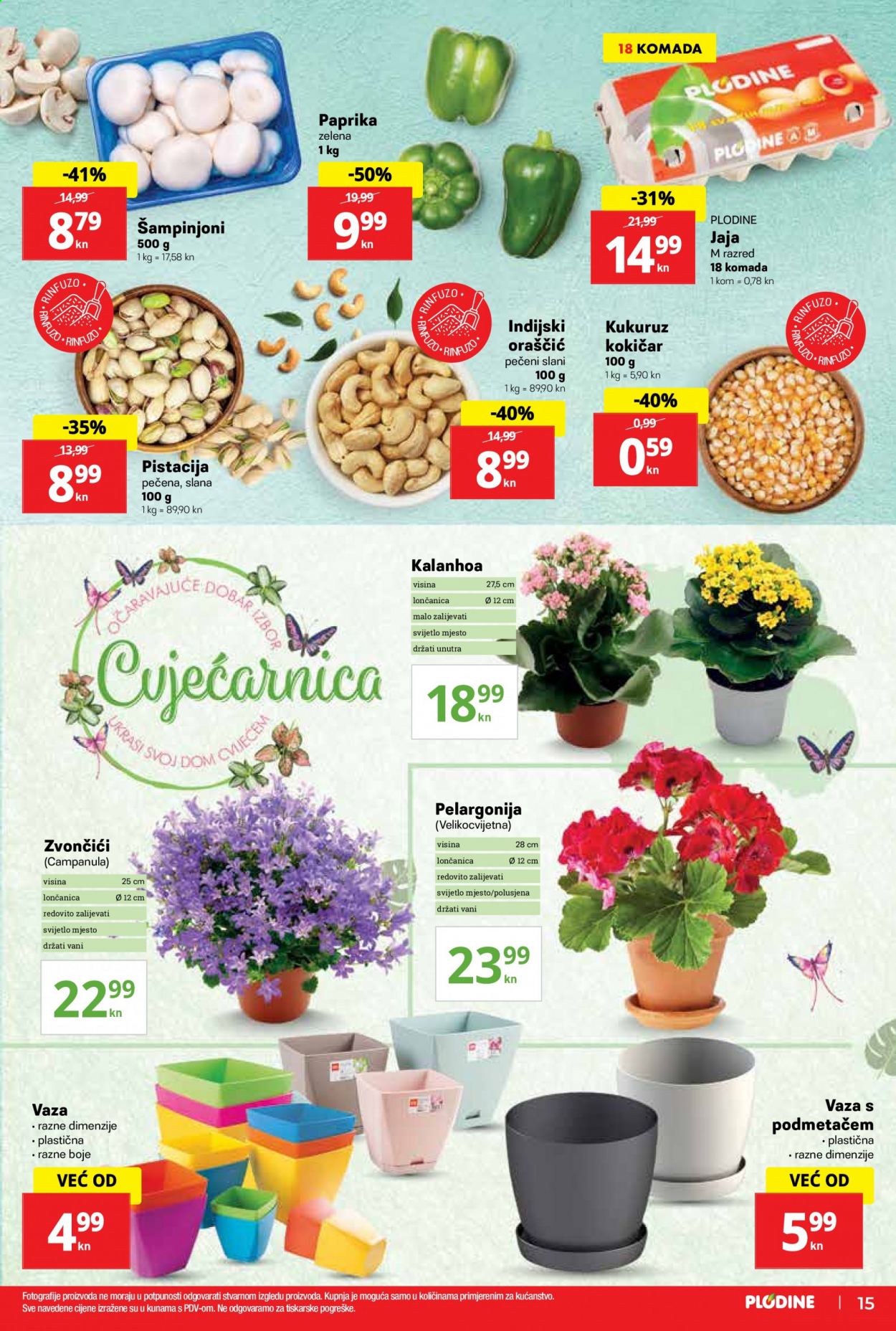 Plodine katalog - 17.06.2021. - 23.06.2021. Stranica 15