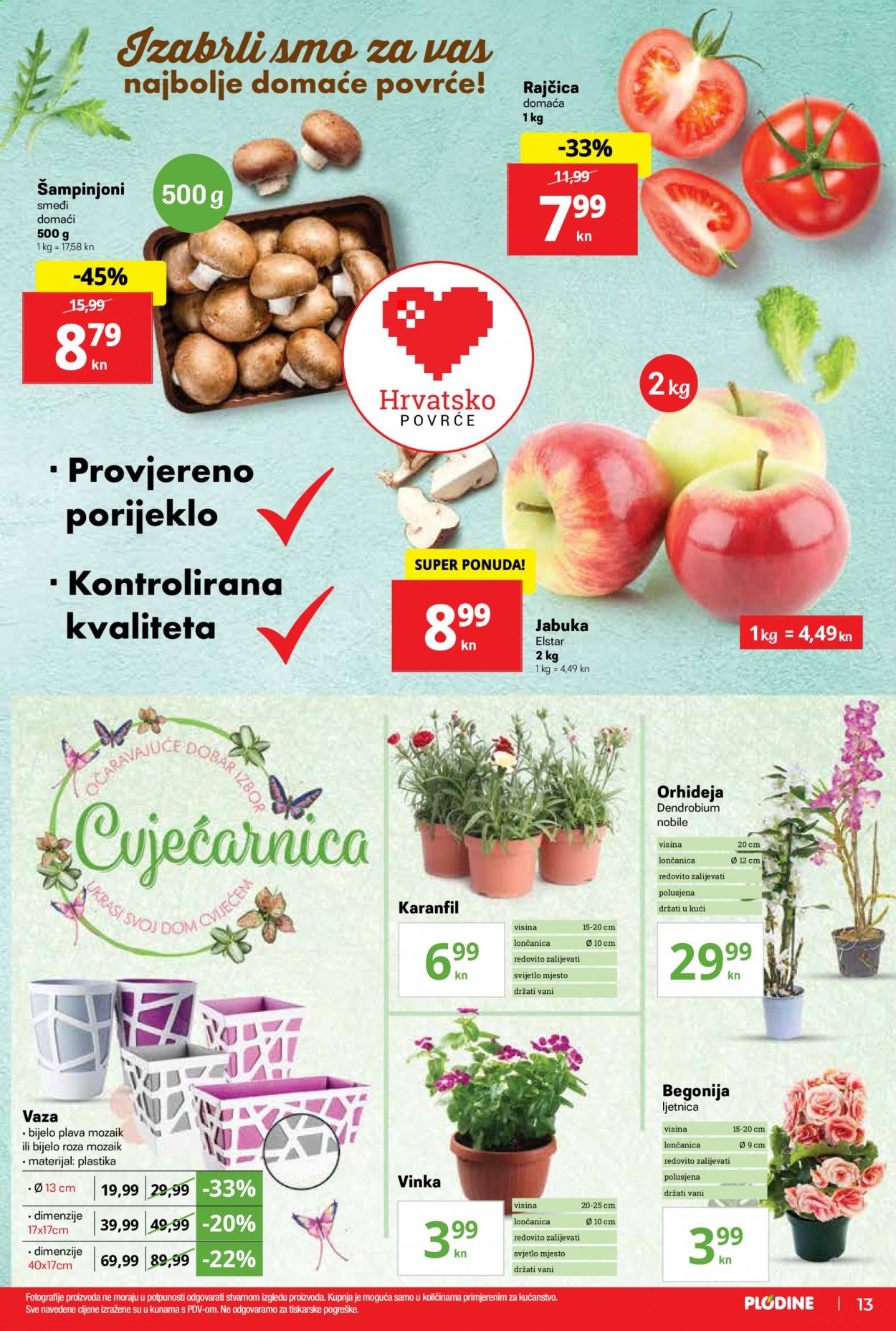 Plodine katalog - 24.06.2021. - 30.06.2021. Stranica 13