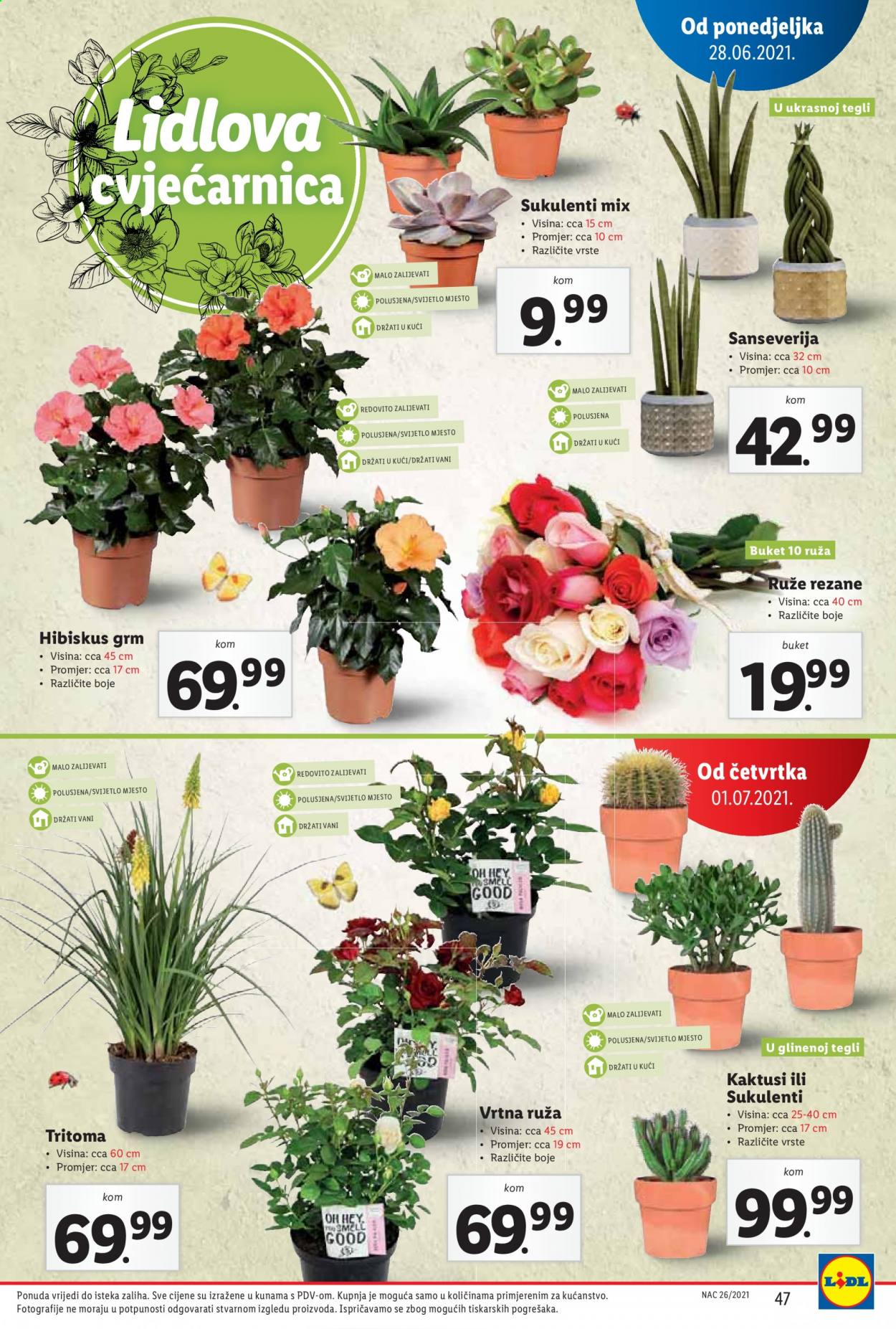 Lidl katalog - 28.06.2021. - 04.07.2021. Stranica 47
