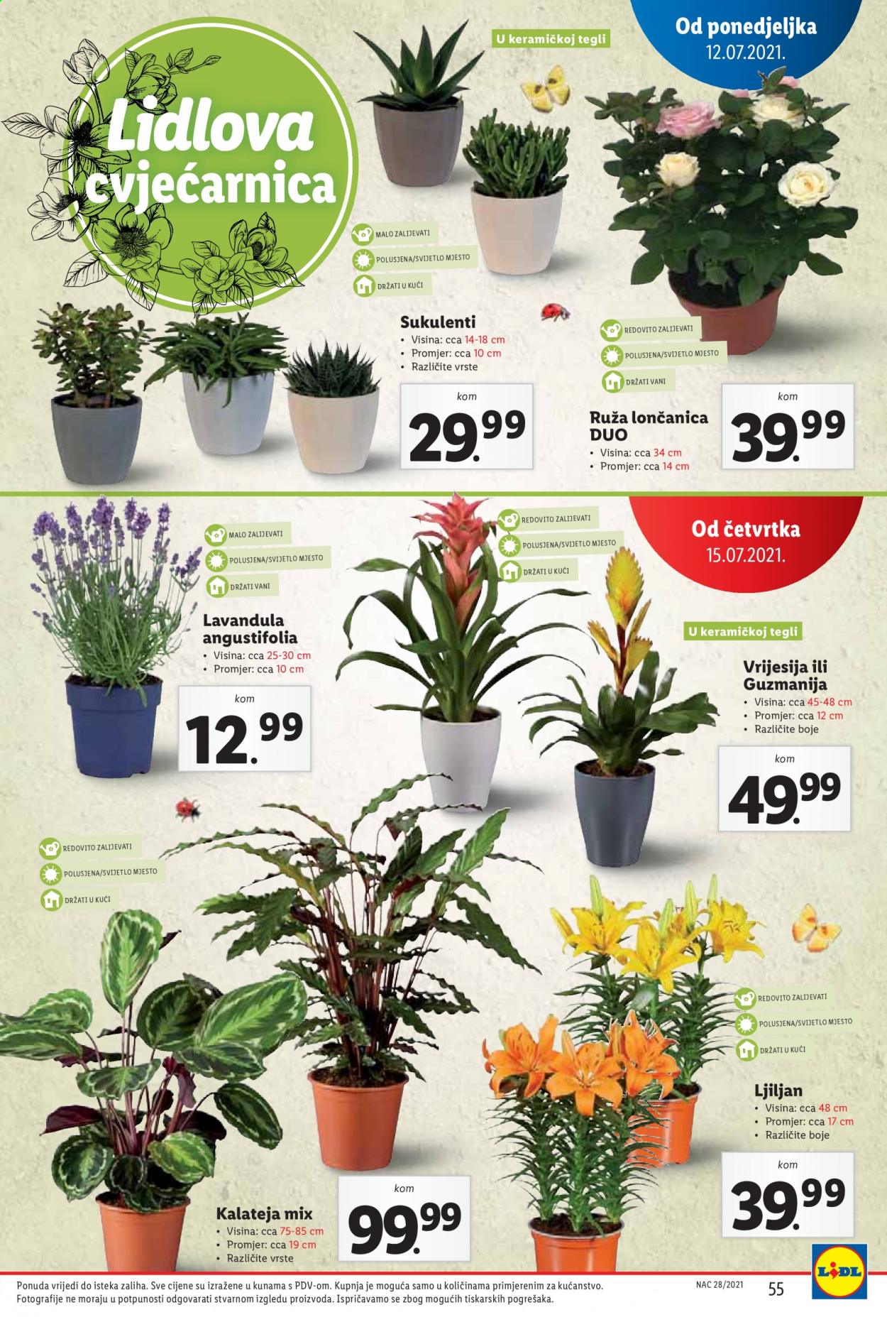 Lidl katalog - 12.07.2021. - 18.07.2021. Stranica 55