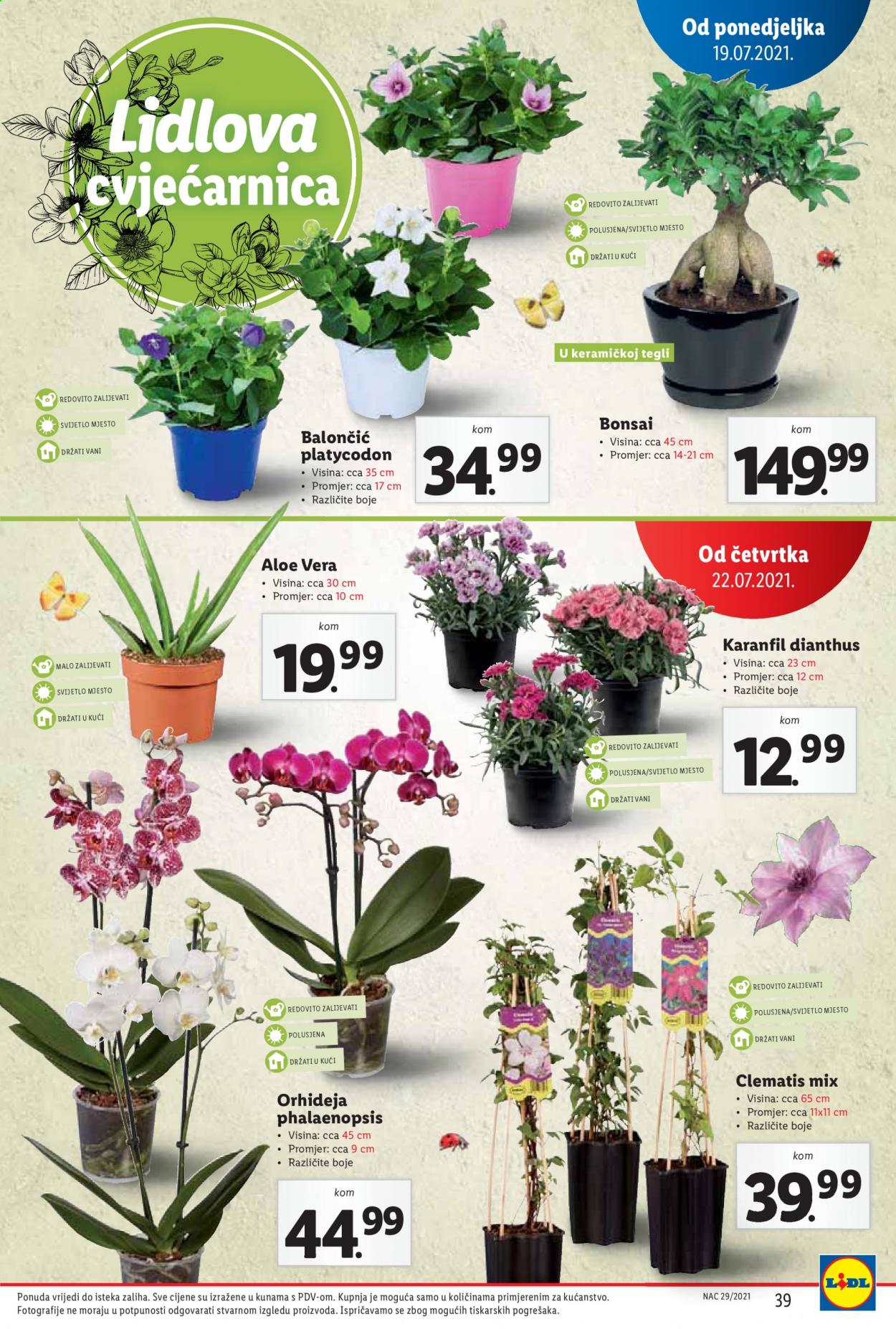 Lidl katalog - 19.07.2021. - 25.07.2021. Stranica 39