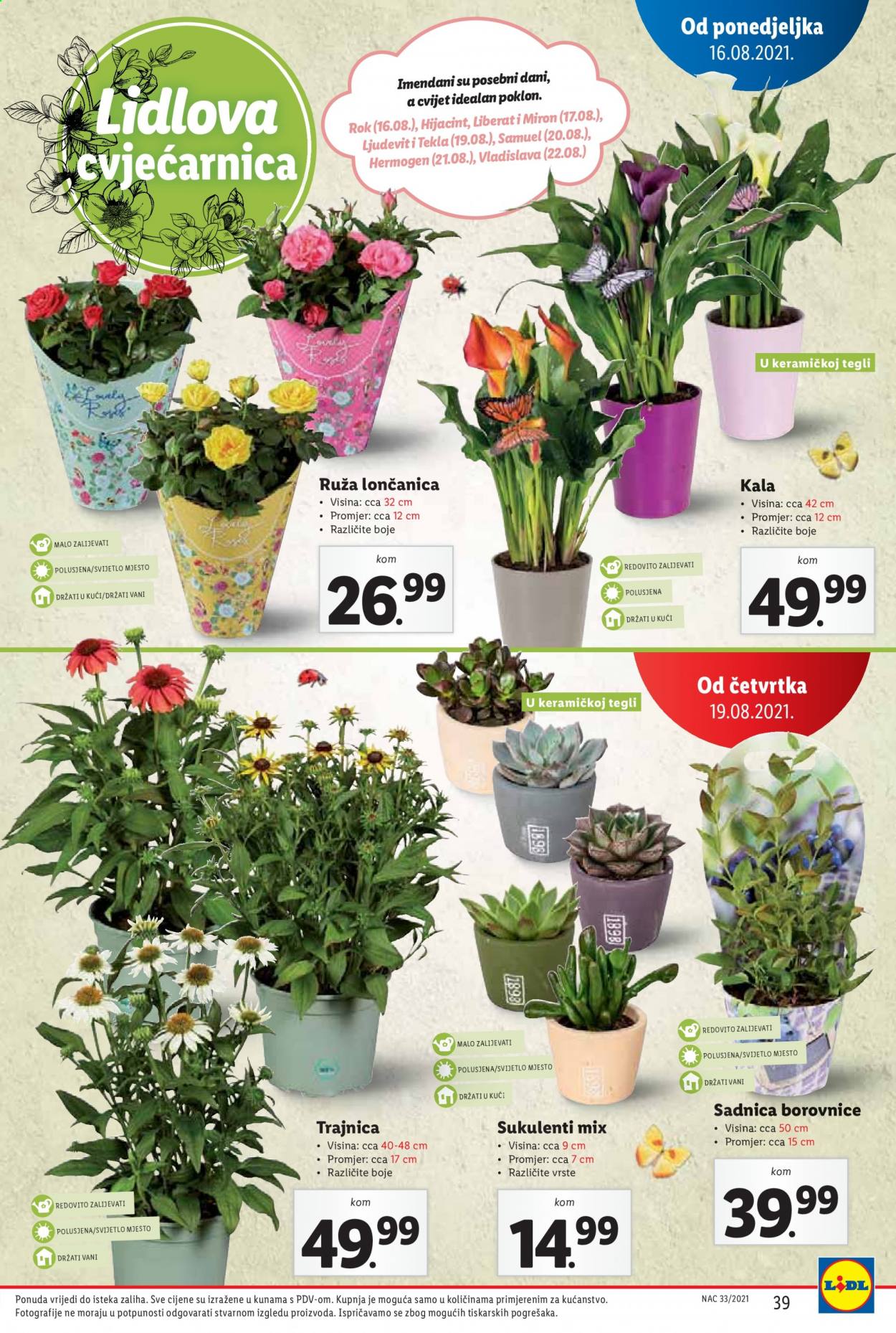 Lidl katalog - 16.08.2021. - 22.08.2021. Stranica 39