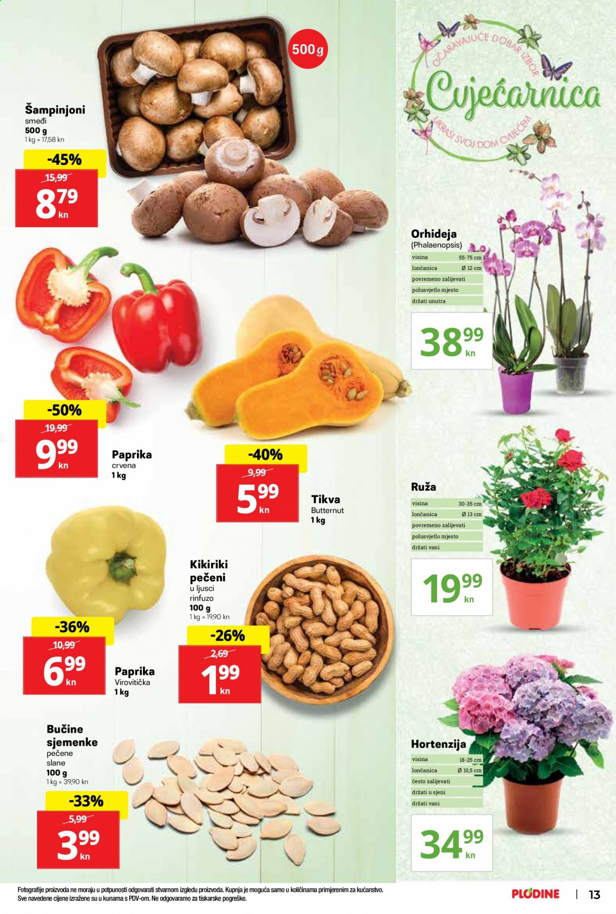 Plodine katalog - 19.08.2021. - 25.08.2021. Stranica 13