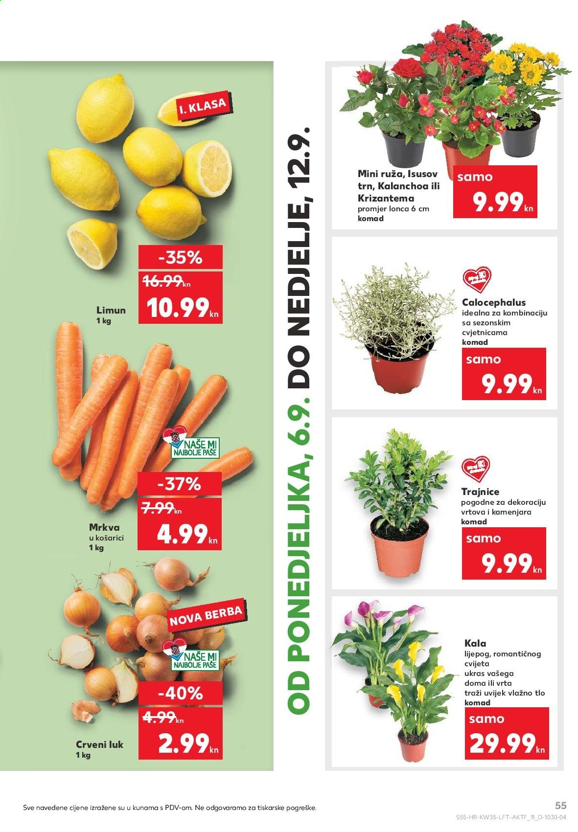 Kaufland katalog - 02.09.2021. - 08.09.2021. Stranica 55