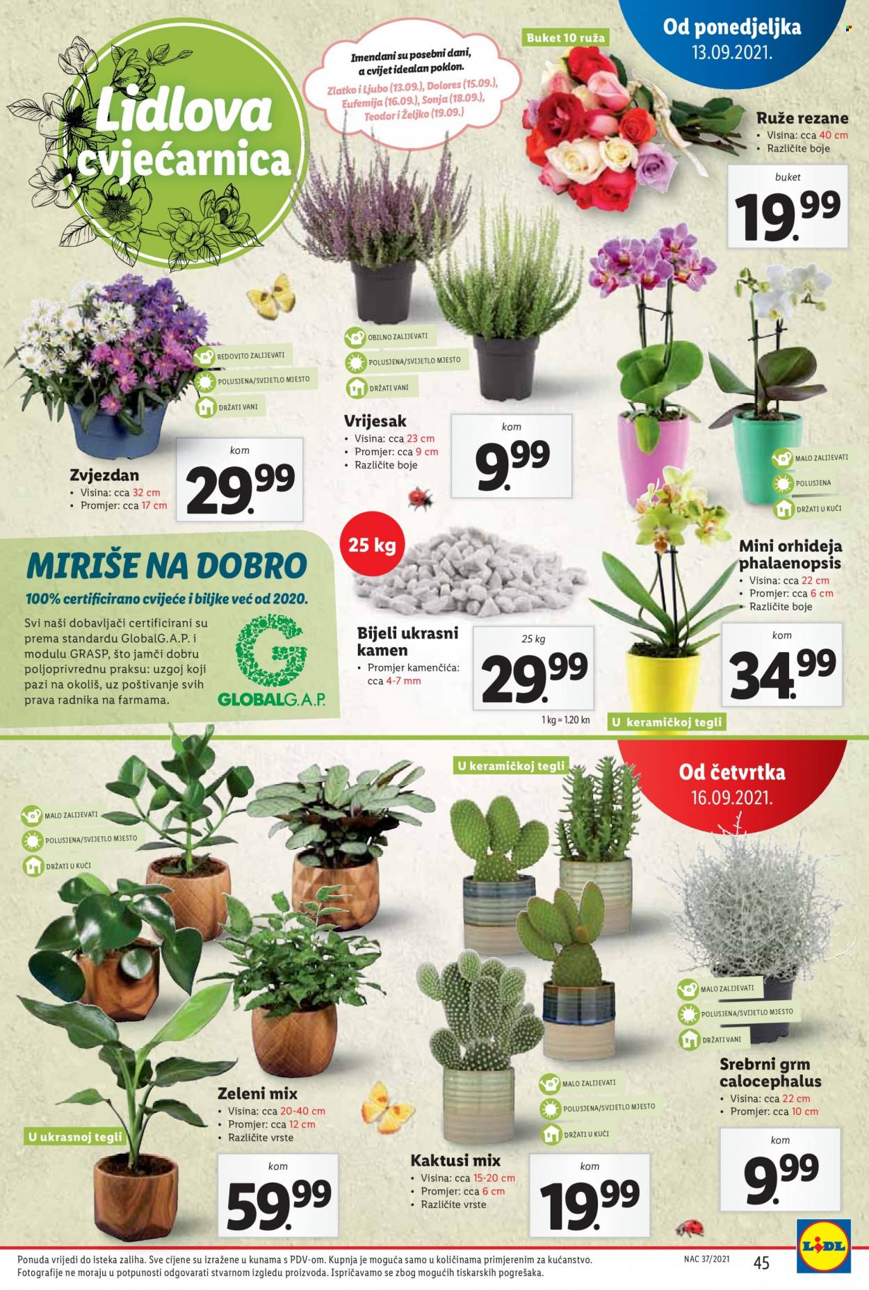 Lidl katalog - 13.09.2021. - 19.09.2021. Stranica 45