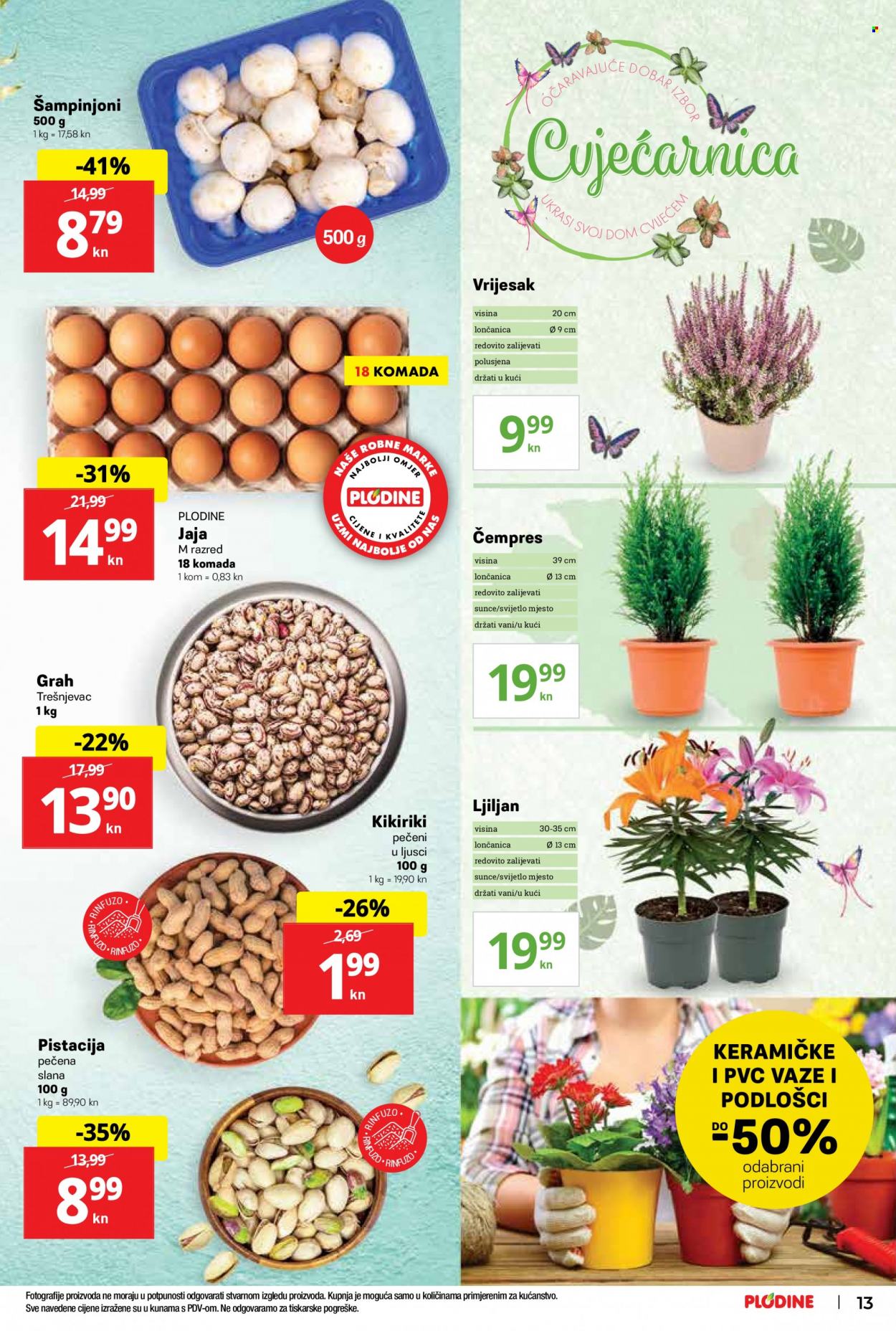 Plodine katalog - 16.09.2021. - 22.09.2021. Stranica 13