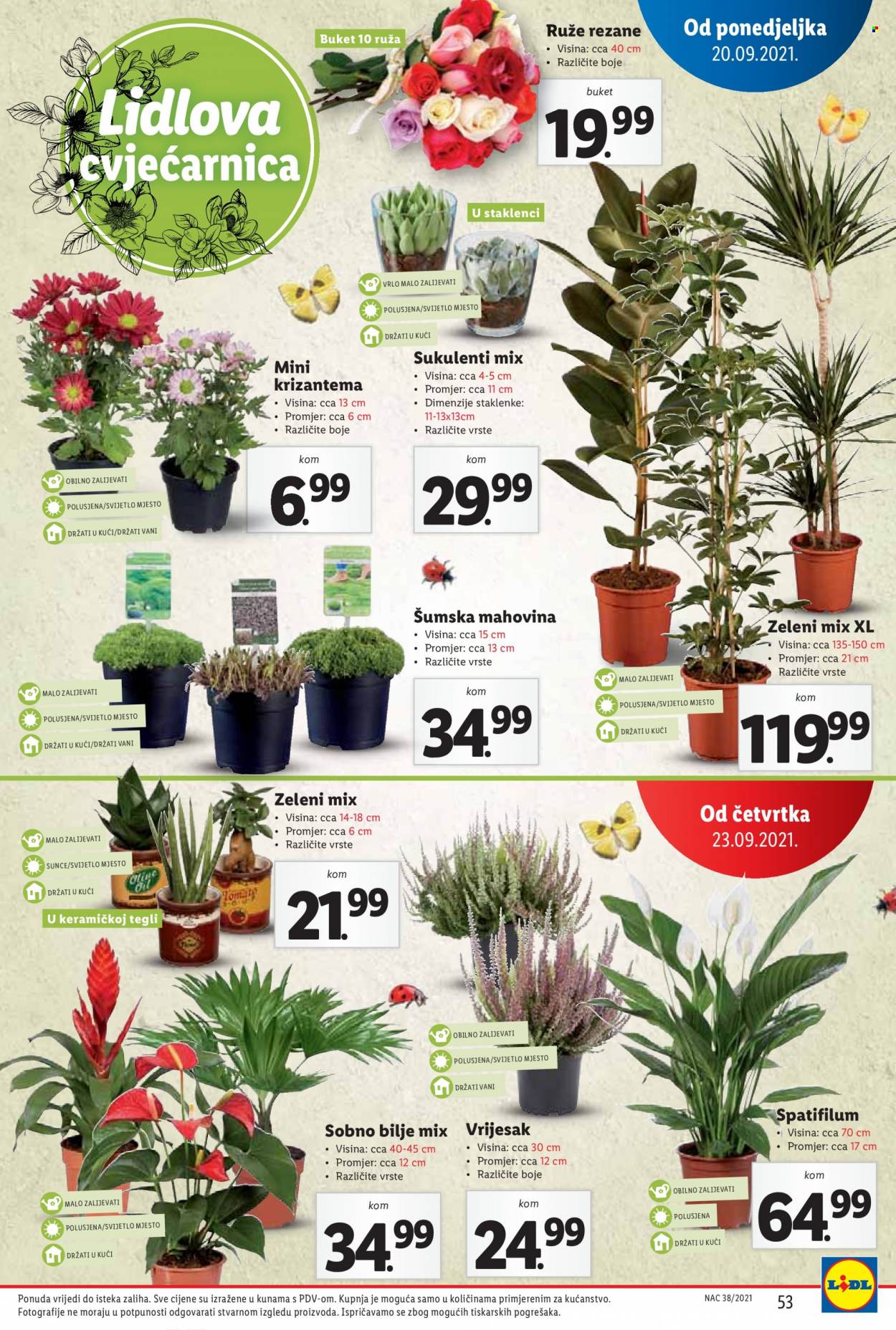 Lidl katalog - 20.09.2021. - 26.09.2021. Stranica 53