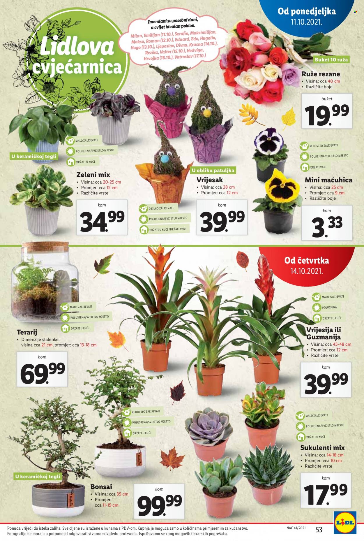 Lidl katalog - 11.10.2021. - 17.10.2021. Stranica 53