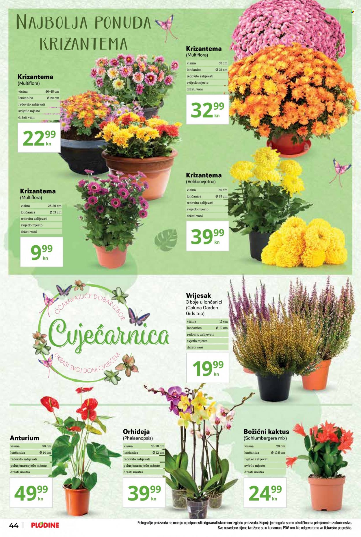 Plodine katalog - 21.10.2021. - 27.10.2021. Stranica 44