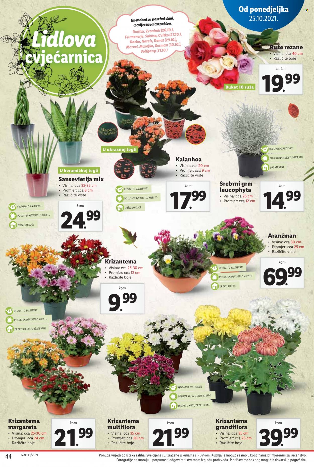 Lidl katalog - 25.10.2021. - 01.11.2021. Stranica 44