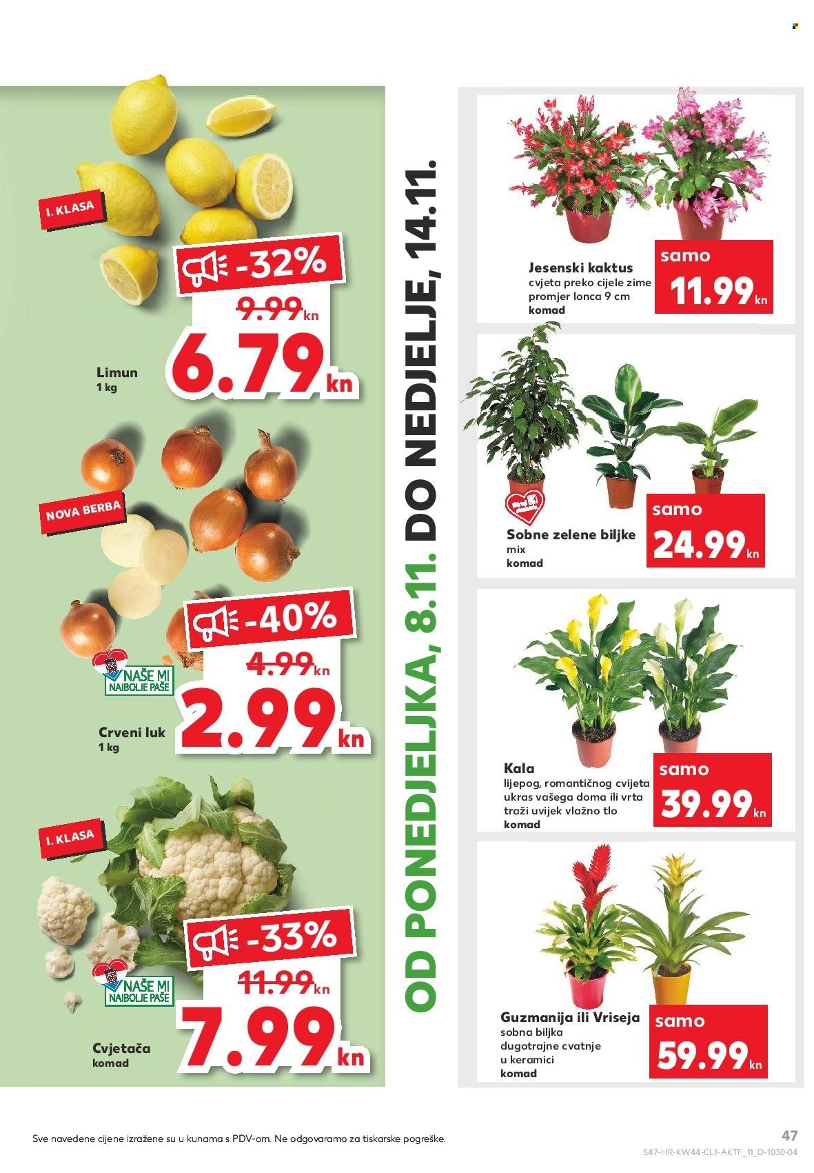 Kaufland katalog - 03.11.2021. - 10.11.2021. Stranica 47