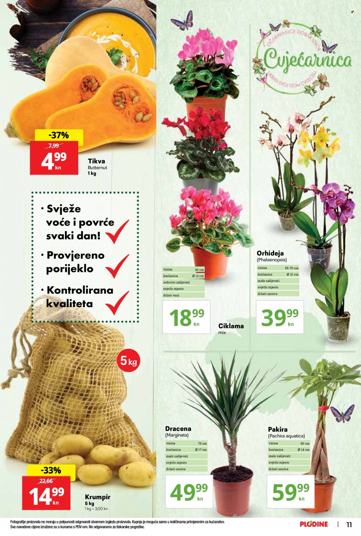 Plodine katalog - 11.11.2021. - 16.11.2021. Stranica 11