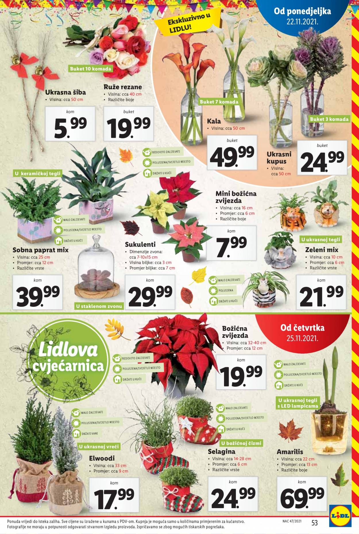 Lidl katalog - 22.11.2021. - 28.11.2021. Stranica 55