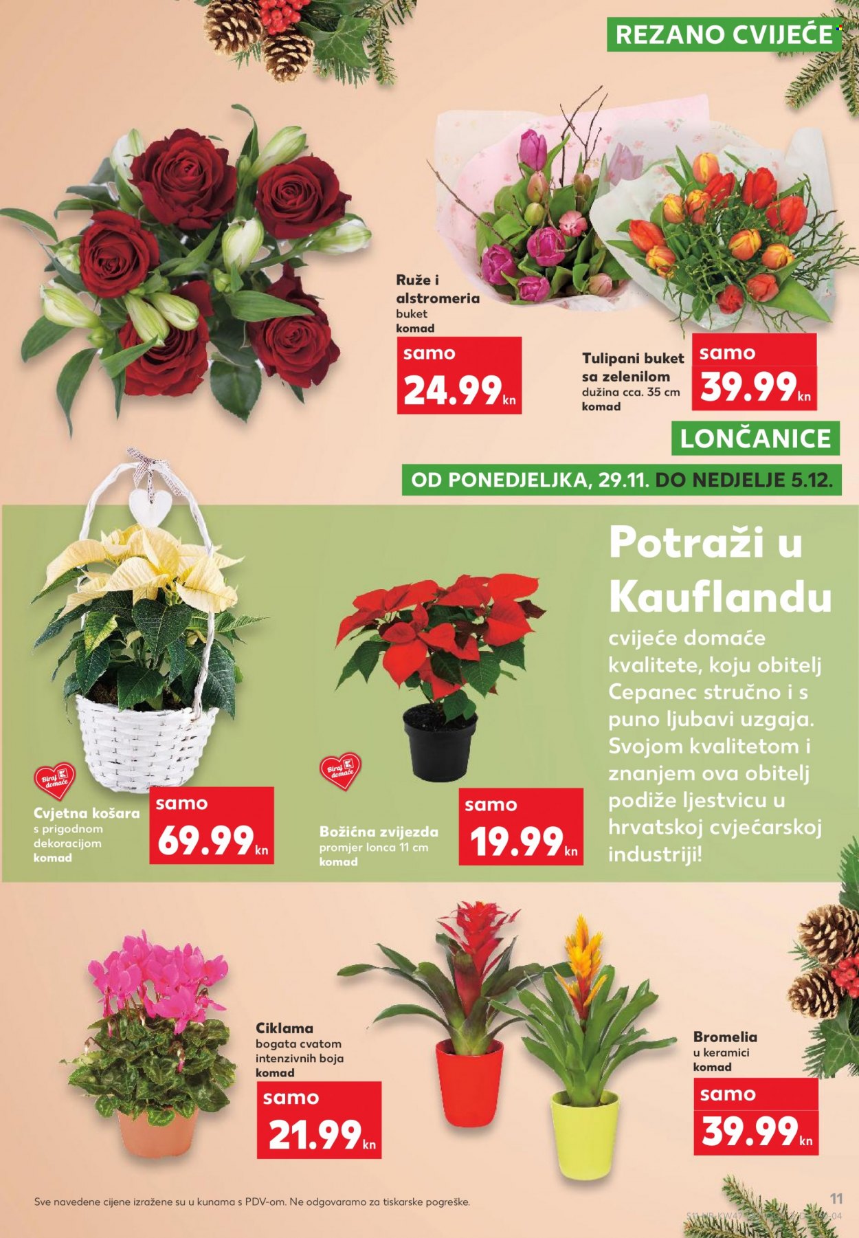 thumbnail - Kaufland katalog - 25.11.2021. - 01.12.2021. - Sniženi proizvodi - Zvijezda, košara, božicna zvijezda, cvijeće, ruža, buket, tulipan. Stranica 11.