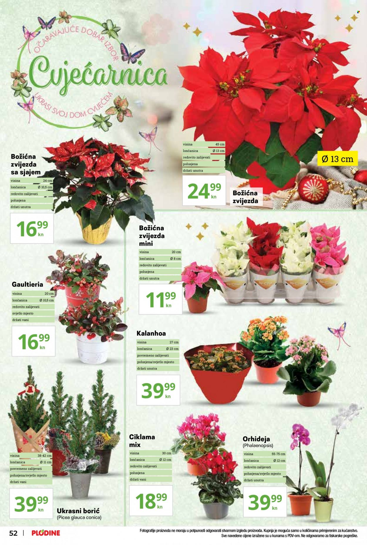 Plodine katalog - 02.12.2021. - 08.12.2021. Stranica 52