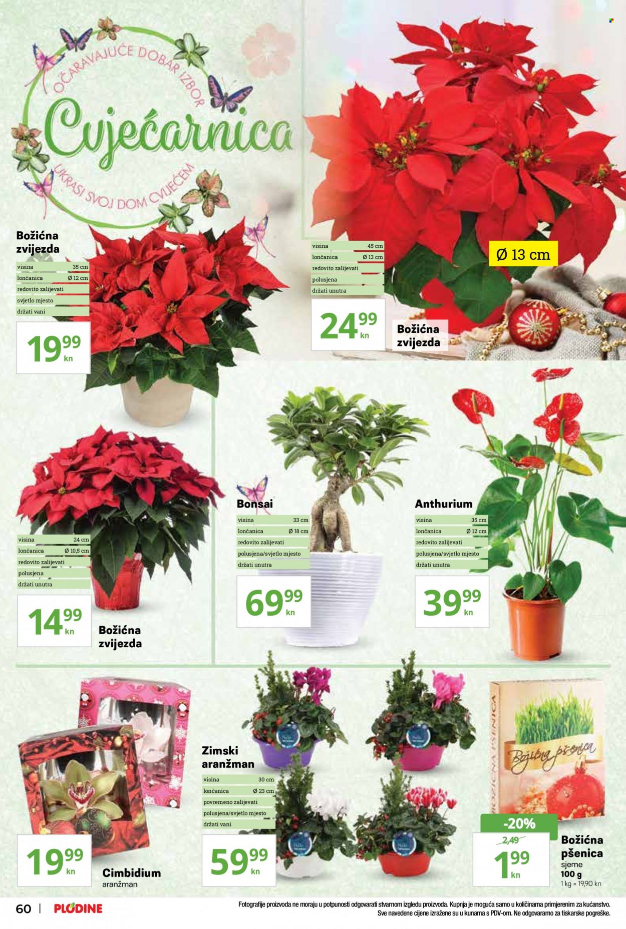 Plodine katalog - 09.12.2021. - 15.12.2021. Stranica 60