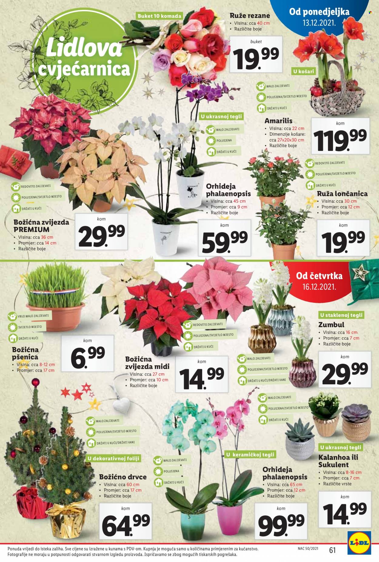 Lidl katalog - 13.12.2021. - 19.12.2021. Stranica 61
