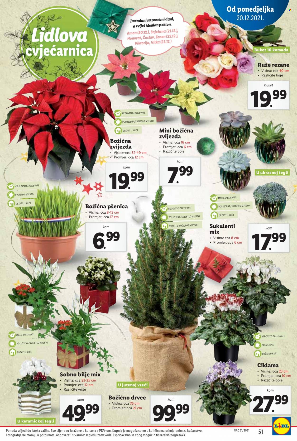Lidl katalog - 20.12.2021. - 24.12.2021. Stranica 51