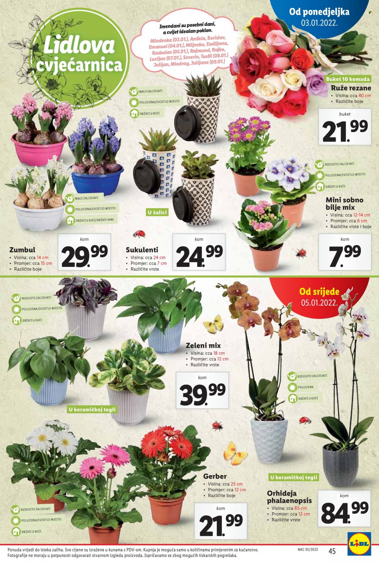 Lidl katalog - 03.01.2022. - 09.01.2022. Stranica 45