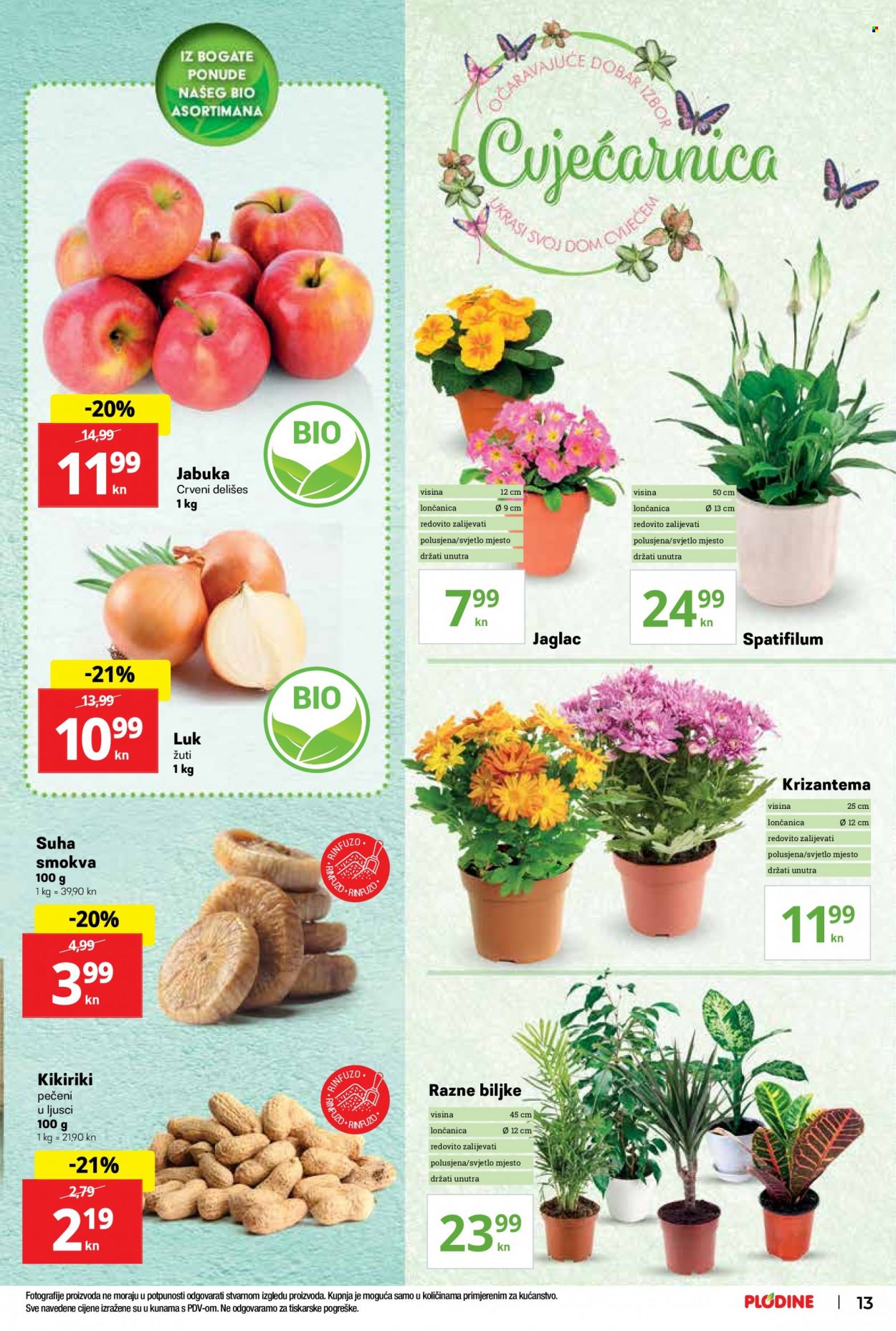 Plodine katalog - 05.01.2022. - 12.01.2022. Stranica 13