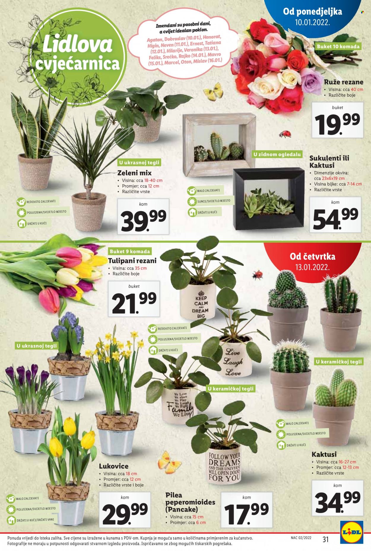 Lidl katalog - 10.01.2022. - 16.01.2022. Stranica 31