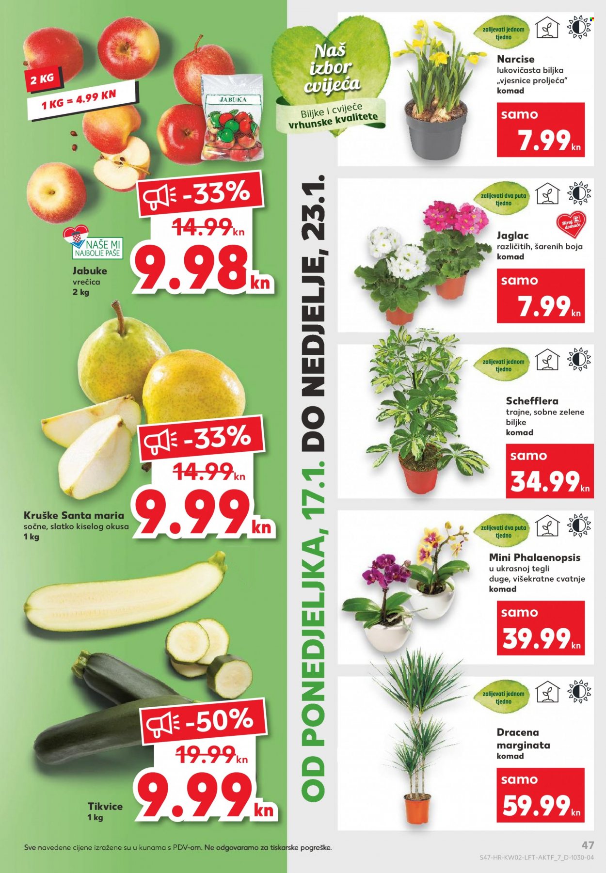 Kaufland katalog - 13.01.2022. - 19.01.2022. Stranica 47