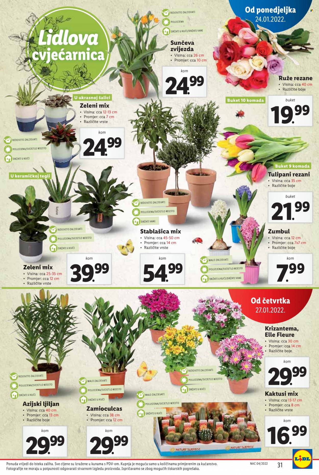 Lidl katalog - 24.01.2022. - 30.01.2022. Stranica 31